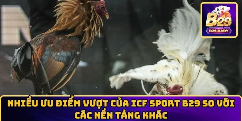 Nhiều ưu điểm vượt của ICF Sport B29  