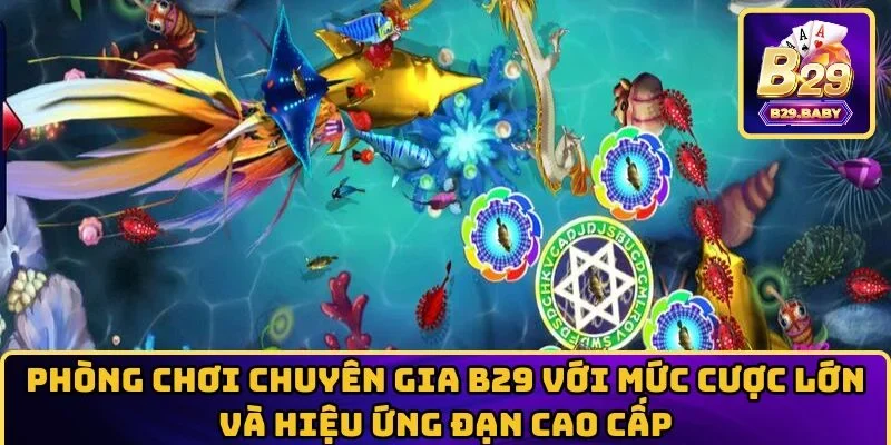 Phòng chơi chuyên gia B29 với mức cược lớn  